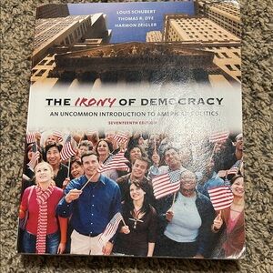 The Irony of Democracy Book